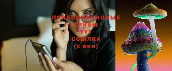 таблы Армянск